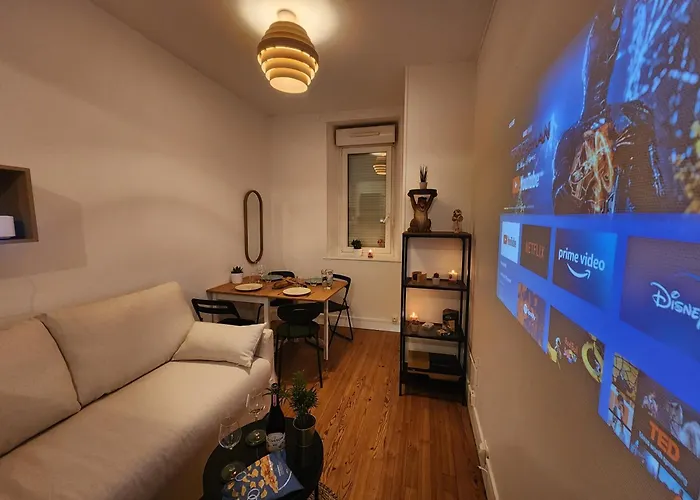 Apartment Le Cocon Du Chateau - Appt 4pers - Hypercentre *