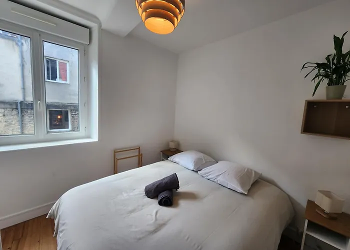 Le Cocon Du Chateau - Appt 4pers - Hypercentre Apartment *