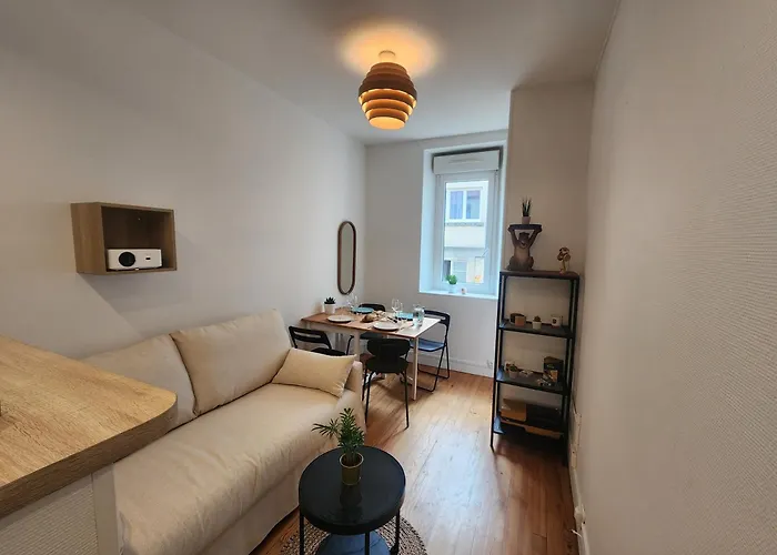 Le Cocon Du Chateau - Appt 4pers - Hypercentre *