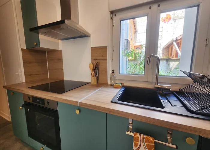 Apartment Le Cocon Du Chateau - Appt 4pers - Hypercentre *