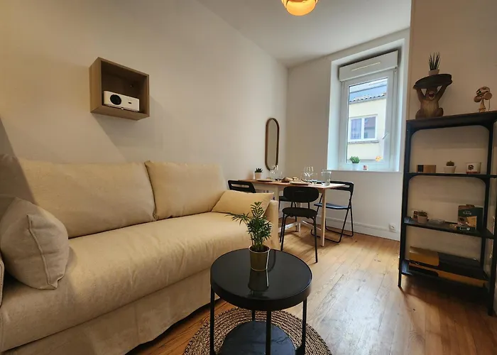 Apartment Le Cocon Du Chateau - Appt 4pers - Hypercentre Caen